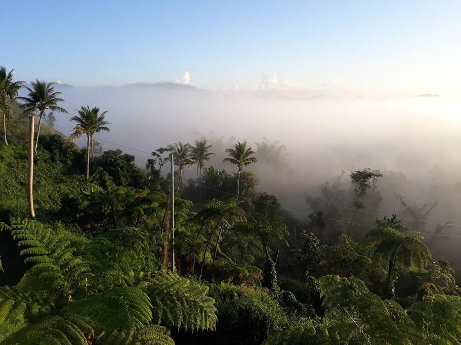 Апартаменты Swim & Paint Art Retreat Las Piedras Экстерьер фото