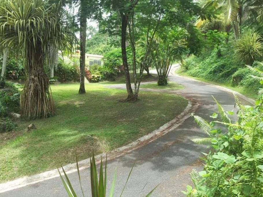 Апартаменты Swim & Paint Art Retreat Las Piedras Экстерьер фото