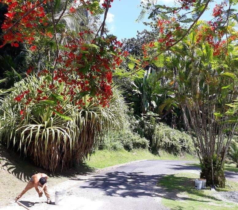 Апартаменты Swim & Paint Art Retreat Las Piedras Экстерьер фото