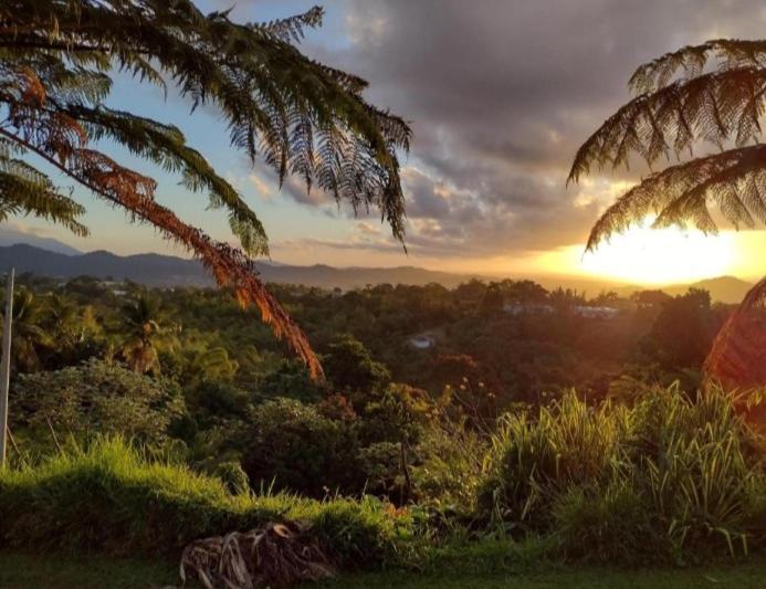 Апартаменты Swim & Paint Art Retreat Las Piedras Экстерьер фото