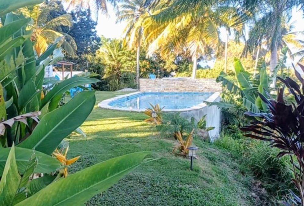 Апартаменты Swim & Paint Art Retreat Las Piedras Экстерьер фото